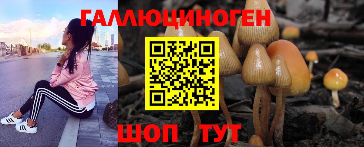 Галлюциногенные грибы Psilocybe  Вход с VPN  Псилоцибиновые грибы Cubensis  Клин 